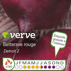 Graines de betterave variété "Detroit 2" Verve semis de mars à juillet