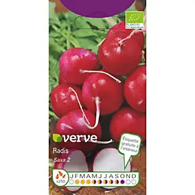 Graines de radis bio variété "Saxa" Verve semis de février à septembre