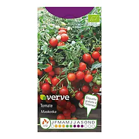 Graines de tomate bio variété "Maskotka" Verve semis de février à avril