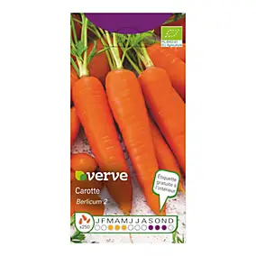 Graines de carotte bio variété "Berlikumer 2" Verve semis de mars à mai