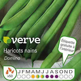 Graines de haricot nain variété "Borlotto Lingua di Fuoco Nano" Verve semis d'avril à mai