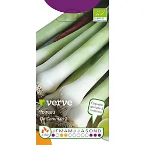 Graines de poireau variété "Carentan 2" Verve semis de mars à avril