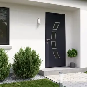 Porte entrée métal gris "Hati" H. 215 x l. 90 gauche