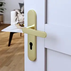 Poignée de porte "Marick" avec trou pour cylindre - Effet laiton - Entraxe adaptable 165-195 mm