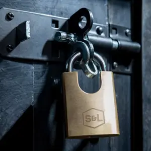 Cadenas laiton robuste avec anse acier trempé 6 cm pour portails et rangements