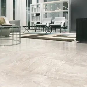 Carrelage de sol intérieur "Tobias" beige - l. 48 x L. 48 cm