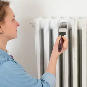 Peinture radiateur et électroménager Satin 0,75 L Blanc Pur