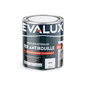 Peinture extérieure fer antirouille 0,5 L blanc brillant