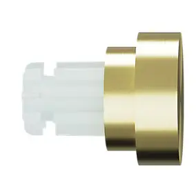 Embout bouchon rond plat pour barre à rideau Easy-Fit Elasa métal doré Ø19mm GoodHome
