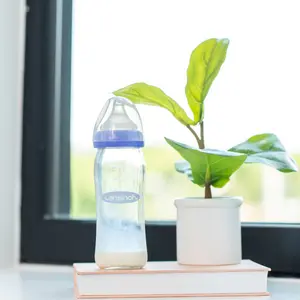 Biberon en verre Natural Wave spécial allaitement (240 ml)