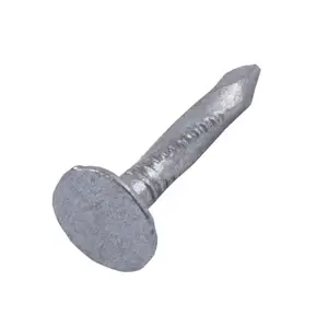Boite de 1 kg de pointes pour bardeau tête plate 3.0 x 20 mm acier galvanisé