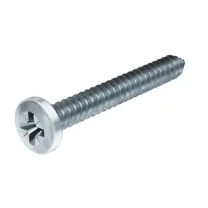 Boite de 2 kg de vis tôle autotaraudeuse tête plate, Philips 6.3 x 50 mm acier carbone