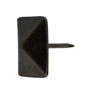 Sachet de 20 clous noirs tête diamant 19 x 20 mm acier