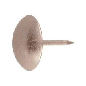 Sachet de 20 clous argent tête ronde 19 x 20 mm acier