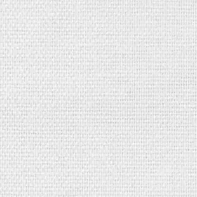 Fibre de verre maille/tissage à peindre 120g/m² L.25 X l.1 m Diall (vendu au rouleau)