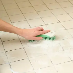 Brosse à récurer