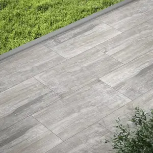 Carrelage de sol extérieur "Tundra" aspect bois - l. 30 x L. 61 cm