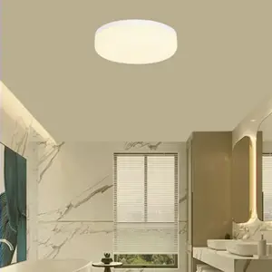 Plafonnier salle de bain 3000 K blanc
