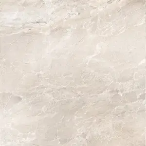 Carrelage de sol intérieur Tobias beige 60 x 60 cm 1,08 m²