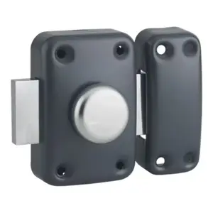 Verrou apache BT cylindre 40 mm epoxy anthracite, 3 clés
