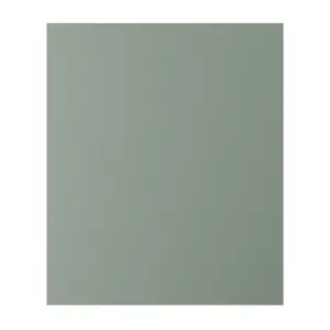 Porte de meuble de cuisine HONORIC vert mat H71,5 × L59,7 cm