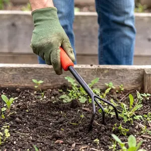 Outil de jardin griffe à main acier carbone 39 cm