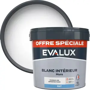 Peinture intérieure blanche mat murs 12 L