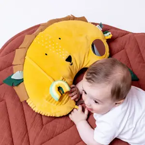Coussin d'activités Mr. Lion