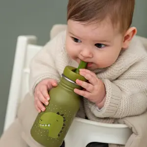 Gourde Mr. Dino (350 ml)