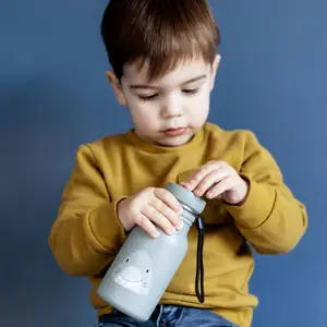 Gourde Mr. Shark (350 ml)
