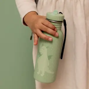 Gourde Mr. Dragon (500 ml)