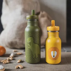 Gourde Mr. Dino (500 ml)