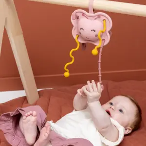 Jouet sensoriel à tirer en silicone Mrs. Butterfly