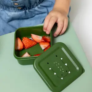 Lot de 3 boîtes à goûter Mr. Alligator