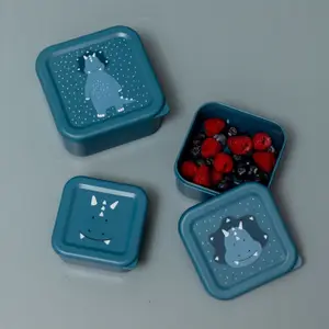 Lot de 3 boîtes à goûter Mr. Triceratops