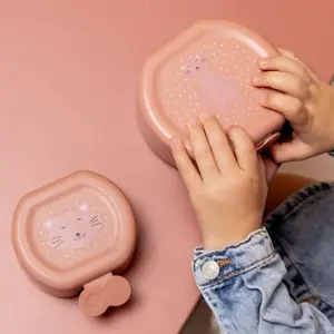 Lot de 2 boîtes à goûter à clip Mrs. Cat