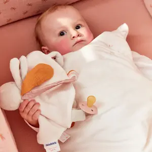 Doudou marionnette libellule Louli