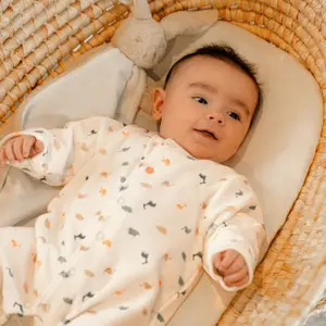 Lot de 2 pyjamas Velours Dino (naissance)