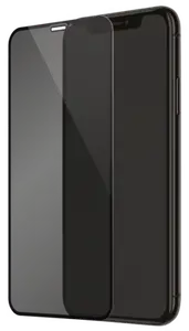 Protection d'écran Privée en verre trempé (100% de surface couverte) pour Apple iPhone X/XS/11 Pro, Noir
