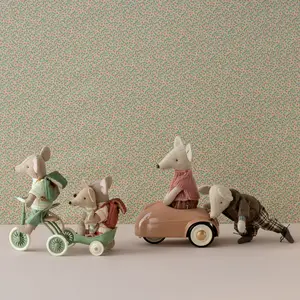 Tricycle et son abri Souris vert
