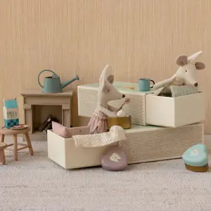 Souris fée des dents Petite soeur dans une boîte d'allumettes