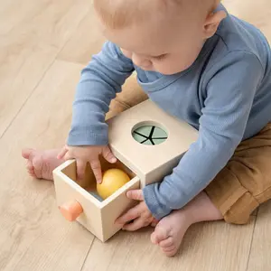 Boîte cache-cache Nozo