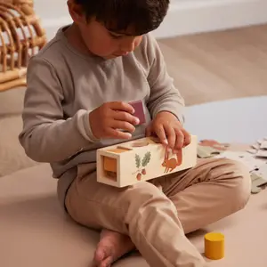 Jouet trieur de formes en bois