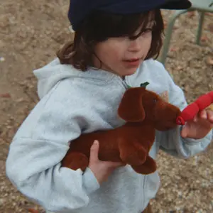 Peluche chien saucisse chorizo et son panier