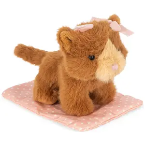 Peluche Chat et sa caisse