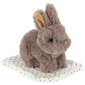 Peluche Lapin et sa caisse