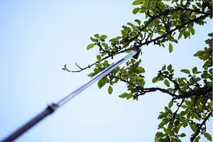 Coupe branches avec scie télescopique
