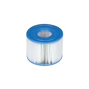 Cartouche pour spa Intex Purespa vendue par 2