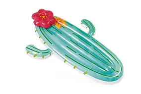 Matelas gonflable cactus Intex L.185 x l.140 cm
