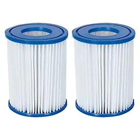 Cartouche de filtration type II Bestway vendue par 2